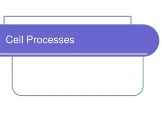 cell processes