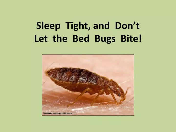 sleep tight and don t let the bed bugs bite
