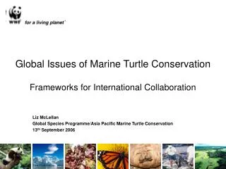 Global Issues of Marine Turtle Conservation Frameworks for International Collaboration