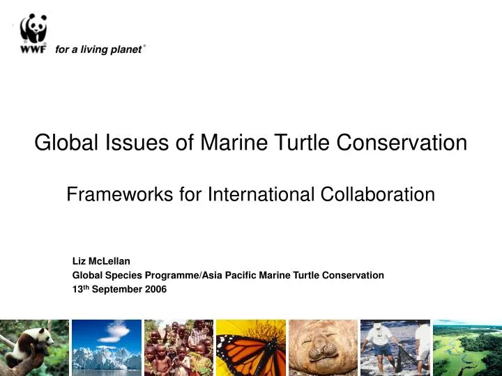 global issues of marine turtle conservation frameworks for international collaboration