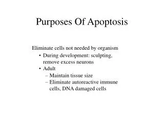 Purposes Of Apoptosis