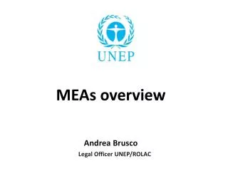 MEAs overview Andrea Brusco
