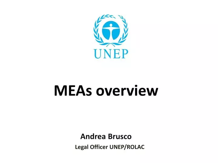 meas overview andrea brusco