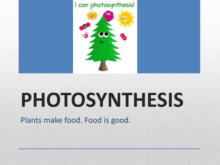 photosynthesis