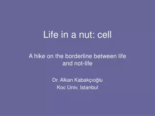 Life in a nut: cell