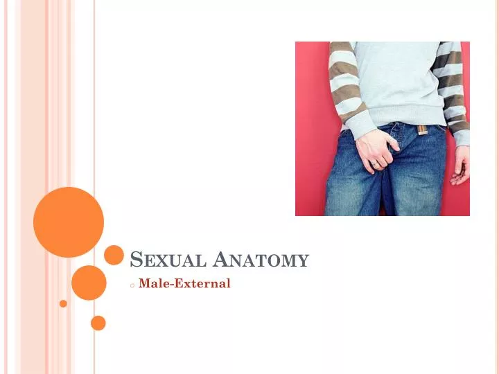 sexual anatomy