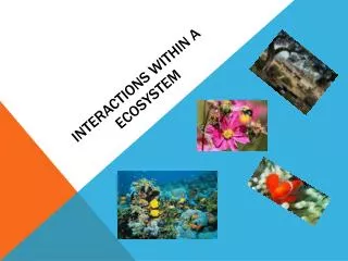 PPT - Interactions Within An Ecosystem PowerPoint Presentation, Free ...