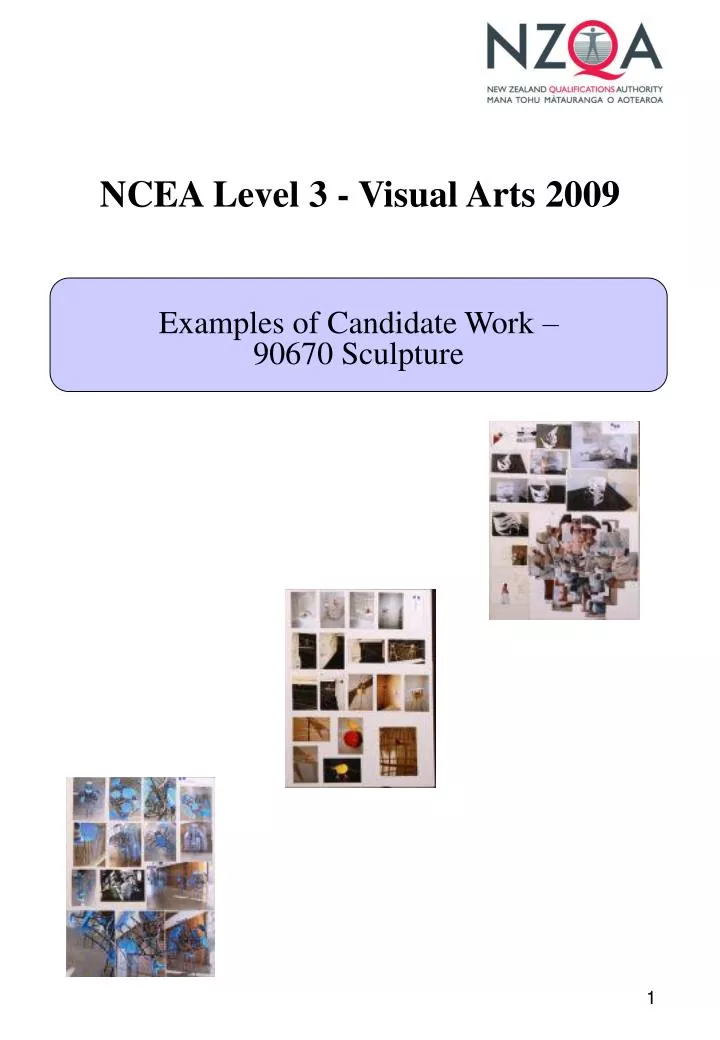 ncea level 3 visual arts 2009