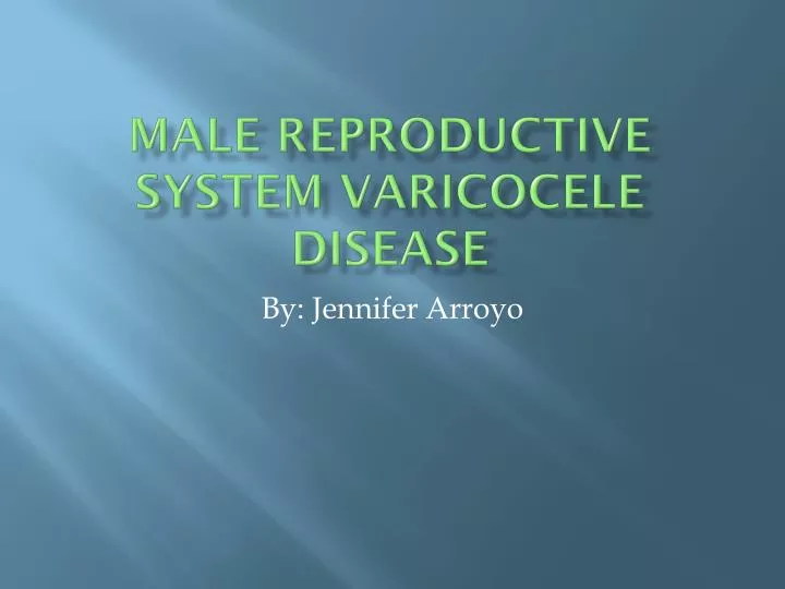 male reproductive system varicocele disease