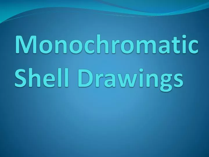 monochromatic shell drawings