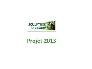 projet 2013