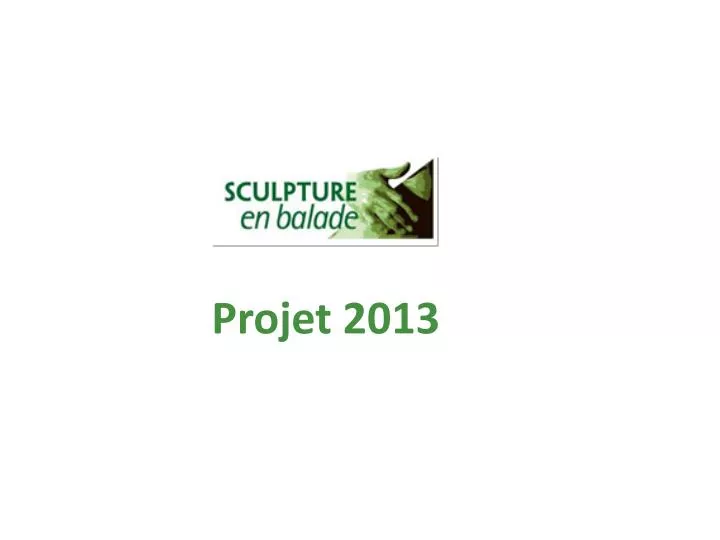 projet 2013