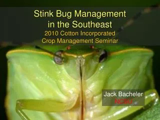 Stink Bug Management in the Southeast 2010 Cotton Incorporated Crop Management Seminar