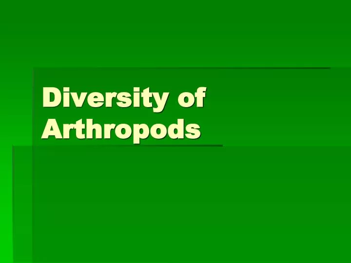 diversity of arthropods