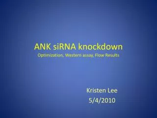 ANK siRNA knockdown Optimization, Western assay, Flow Results