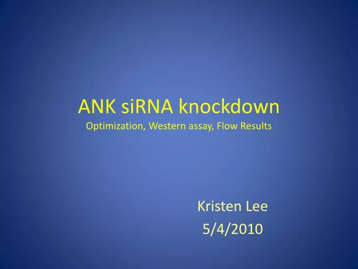 ank sirna knockdown optimization western assay flow results
