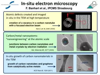 In-situ electron microscopy