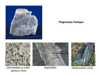 intermediate to mafic igneous rocks