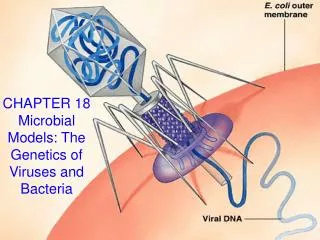 CHAPTER 18 Microbial Models: The Genetics of Viruses and Bacteria