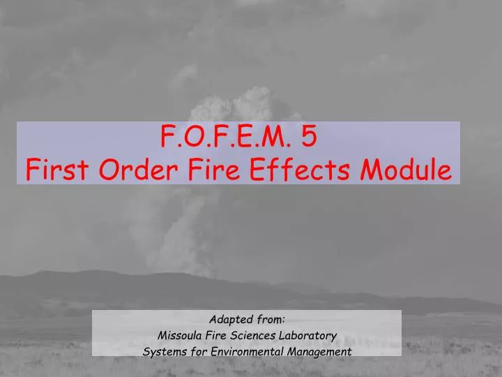 f o f e m 5 first order fire effects module