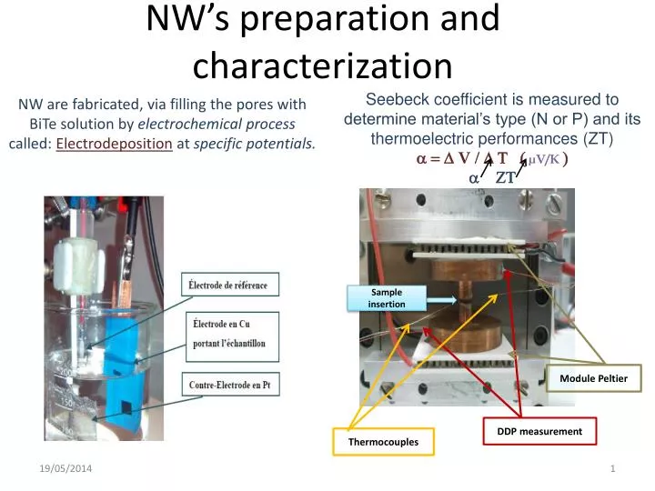 nw s preparation and c haracterization