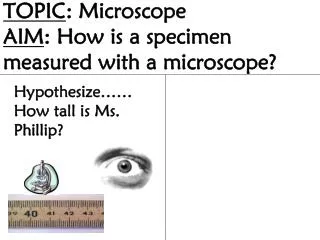 TOPIC : Microscope AIM : How is a specimen measured with a microscope?