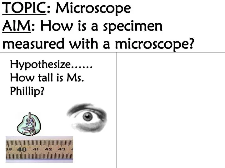 topic microscope aim how is a specimen measured with a microscope