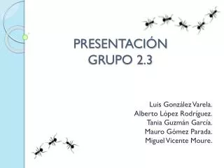 presentaci n grupo 2 3