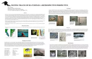 NESTING TRACES OF SEA TURTLES: A RETROSPECTIVE PERSPECTIVE Gale A. Bishop