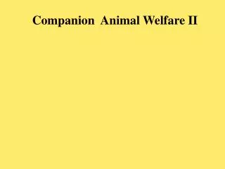 Companion Animal Welfare II