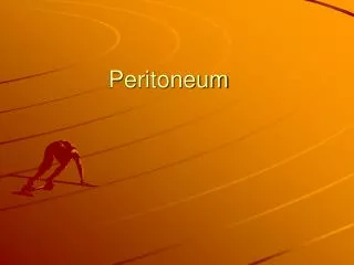 Peritoneum