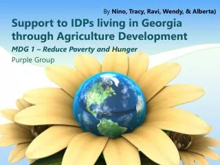 Support to IDPs living in Georgia through Agriculture Development