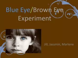 Blue Eye / Brown Eye Experiment