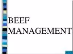 BEEF MANAGEMENT - slide 1