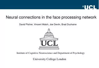 Neural connections in the face processing network