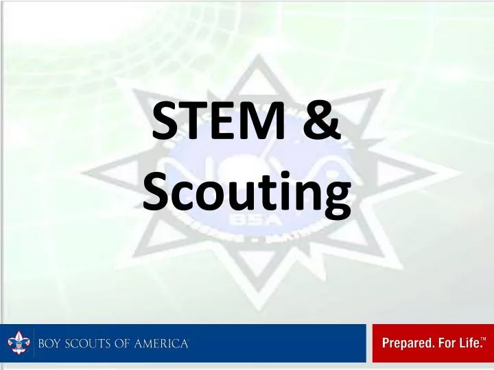 stem scouting