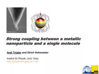 Strong coupling between a metallic nanoparticle and a single molecule