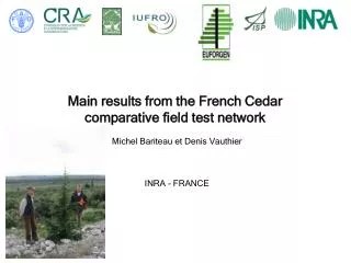 Main results from the French Cedar comparative field test network