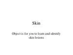 Skin - slide 1