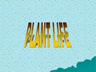 PLANT LIFE