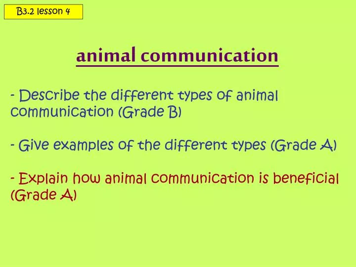 research papers animal communication