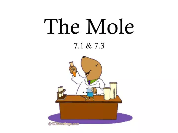 the mole