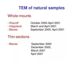 TEM of natural samples Whole-mounts - Roscoff October 2000-April 2001
