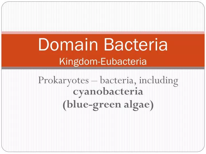 domain bacteria kingdom eubacteria