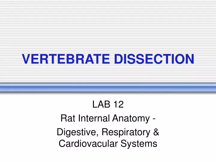 vertebrate dissection