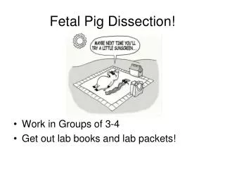 Fetal Pig Dissection!