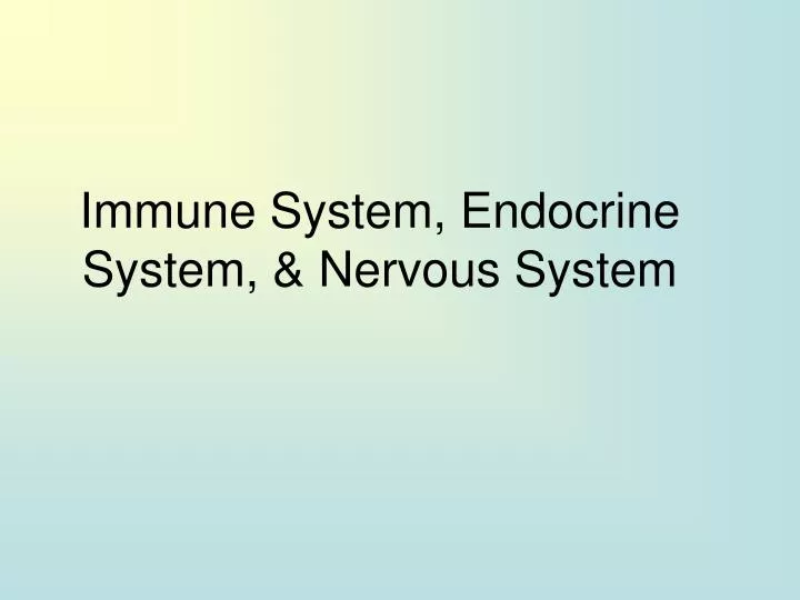 immune system endocrine system nervous system