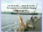 Les meilleures photos de L'année 2005 D'après NBC - slide 1