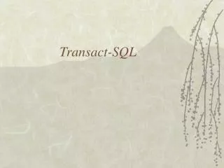 Transact-SQL