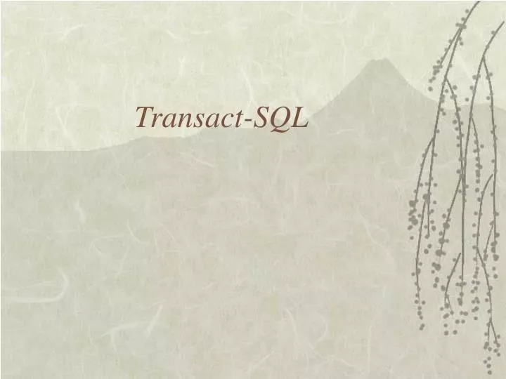 transact sql